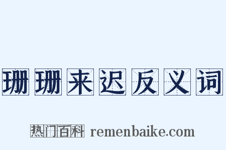 珊珊来迟反义词是什么意思的图片